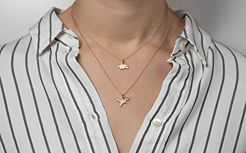 14K 18K Solid Gold Dinosaur Necklace for Kids - T-Rex Pendant in Yellow, White & Rose Gold | Minimalist Unisex Jewelry for Boys & Girls | Perfect Birthday Gift & Everyday Wear | Zoozjewelry