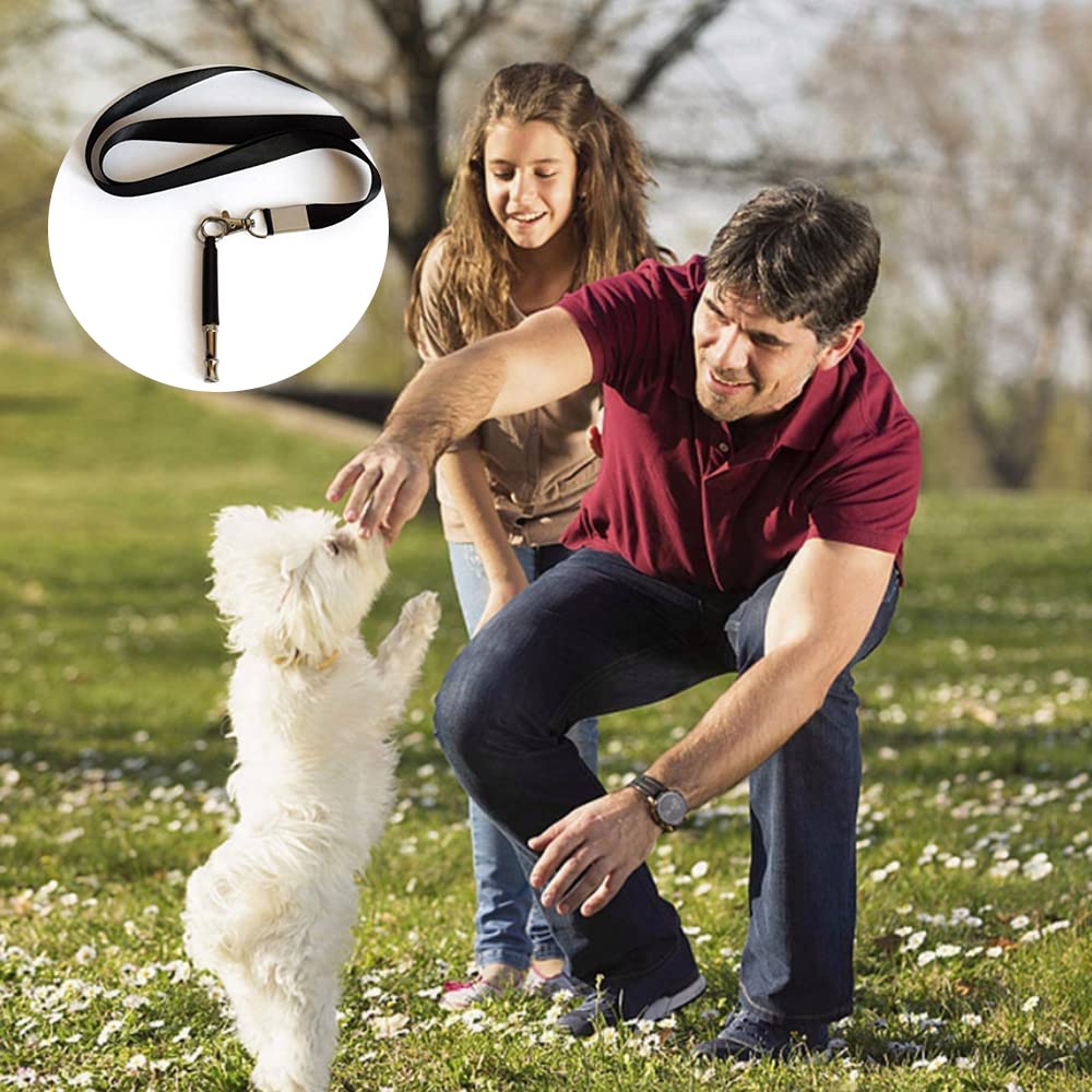 2 Pack Professional Dog Training Whistle with Lanyard - High Frequency Silent Dog Whistle for Recall Training, Hunting & Outdoor Adventures (Ideal for Obedience Classes, Park Visits & Daily Walks)