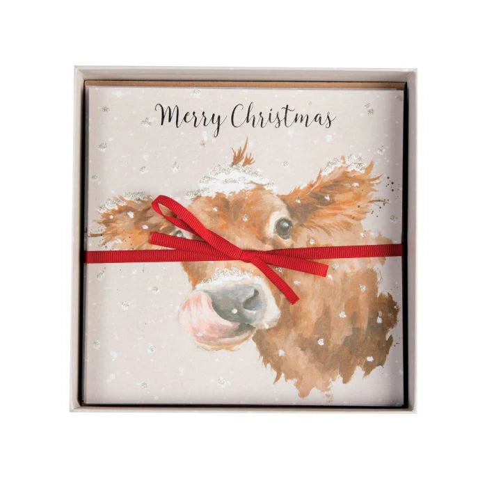 Wrendale Designs First Taste Of Snow Cow Luxury Boxed Greeting Cards - Perfect for Christmas, Winter Holidays & Birthday Gifts