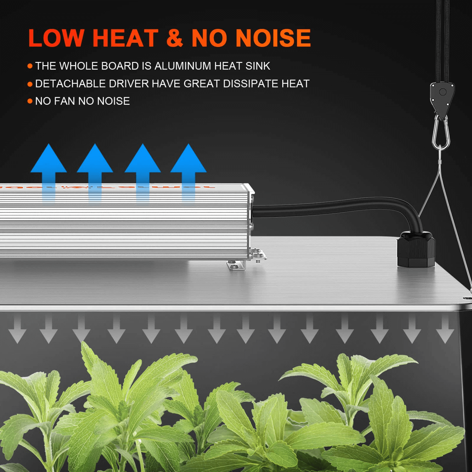 Spider Farmer SF1000D Full Spectrum LED Grow Light Kit - 2'x2' Grow Tent & Inline Fan with Speed Controller for Indoor Hydroponic Plants, Herbs, and Vegetables