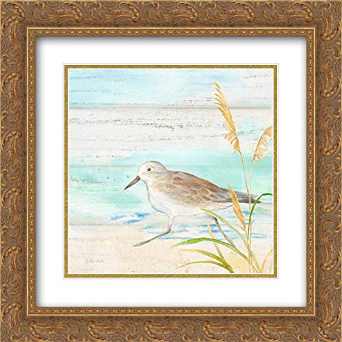 15x15 Gold Ornate Framed & Double Matted Sandpiper Beach IV Museum Art Print by Cynthia Coulter - Perfect for Coastal Home Decor, Beach House Wall Art, Living Room & Bedroom Accent