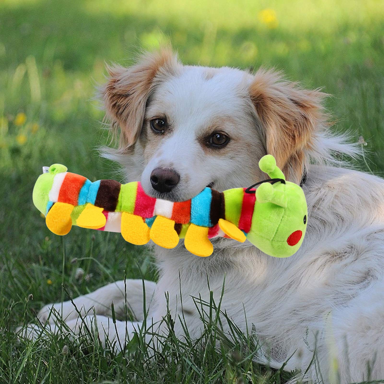 Balacoo 2-Pack Soft Plush Caterpillar Dog Chew Toys - Durable Puppy Teething Toys for Small & Medium Dogs, Interactive Fetch & Molar Relief Pet Toys - Perfect for Indoor Play, Training Rewards & Anxiety Relief