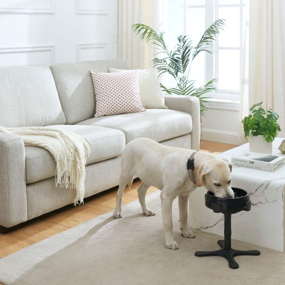 Elevated Adjustable Dog Bowl Stand - 3 Height Adjustable Feeding Station for Medium & Large Dogs - Compatible with Most Bowls (2 Pack) - Perfect for Dining, Training & Outdoor Use