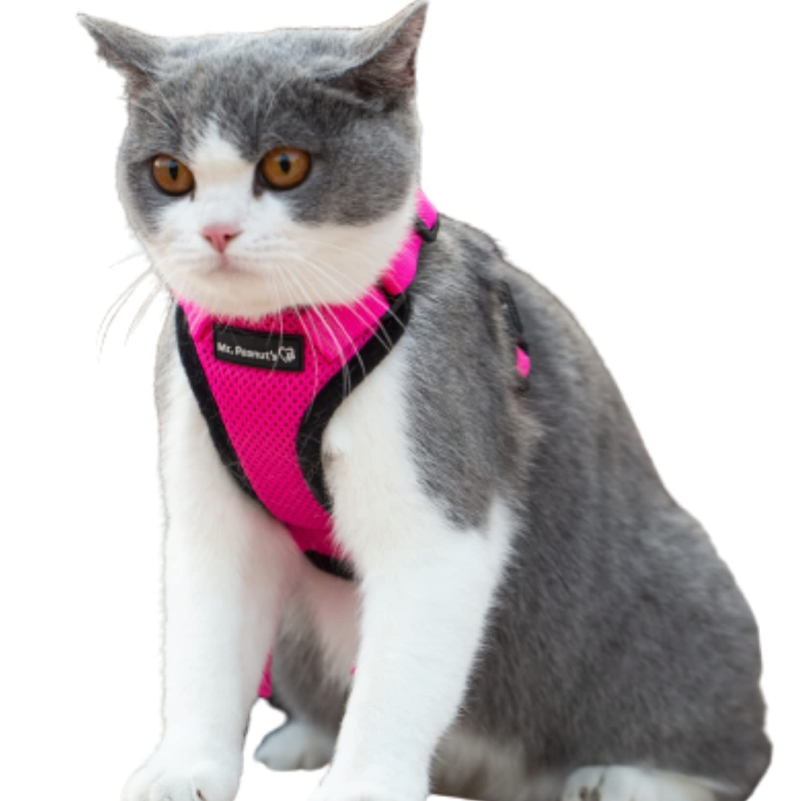 Mr. Peanut's PurrTrek Reflective Cat Harness and Leash Set - Small Pink Adjustable Safety Vest for Outdoor Adventures, Night Walks & Travel with Your Feline Friend