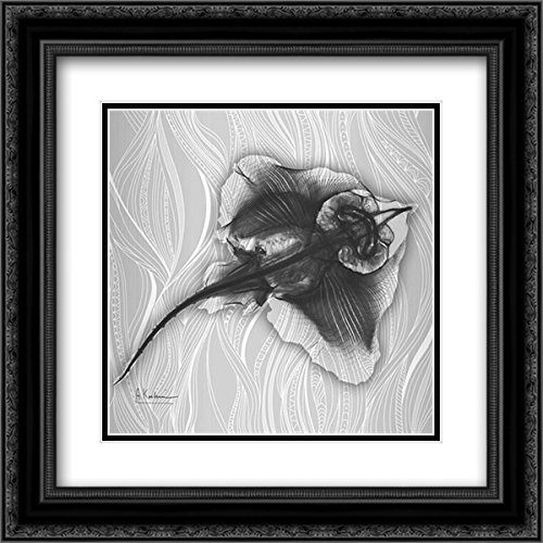 Albert Koetsier Skate Vision 2 - 15x15 Inch Black Ornate Framed & Double Matted Museum Art Print - Perfect for Home Decor, Office Wall Art & Gift Ideas