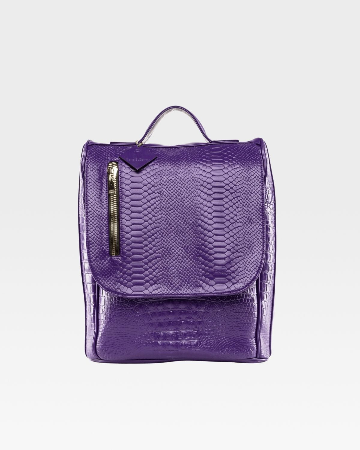 Apollo 2 Purple Backpack - Lightweight Durable School & Travel Backpack for College Students & Commuters