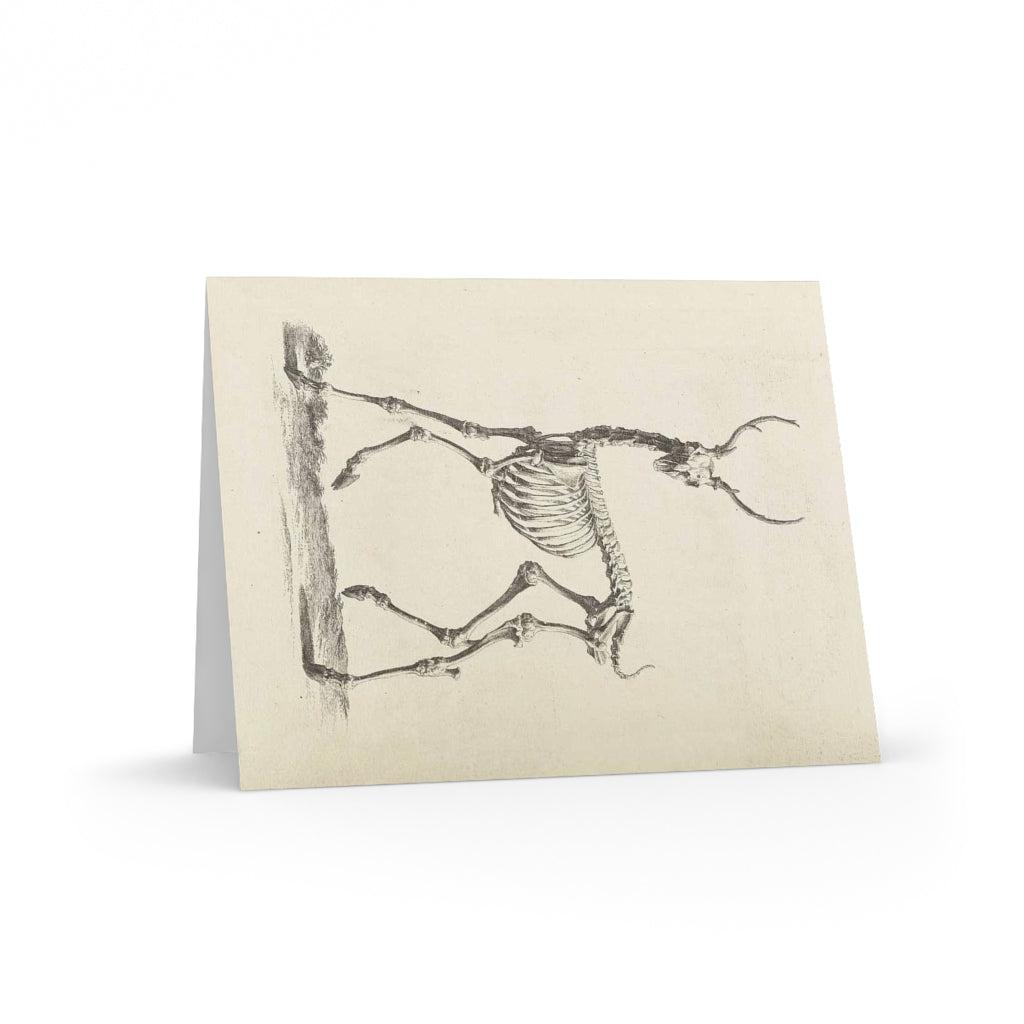 Deer Skeleton Greeting Cards - 10 Pack Halloween Themed Blank Note Cards with Envelopes - Perfect for Spooky Party Invitations, Halloween Decorations, and Gothic Gift Giving