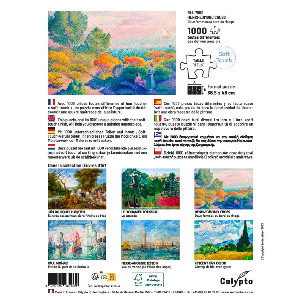 Calypto 1000 Piece Jigsaw Puzzle - Two Women by the Shore Artwork - Challenging Adult Puzzle for Home Decor & Relaxation