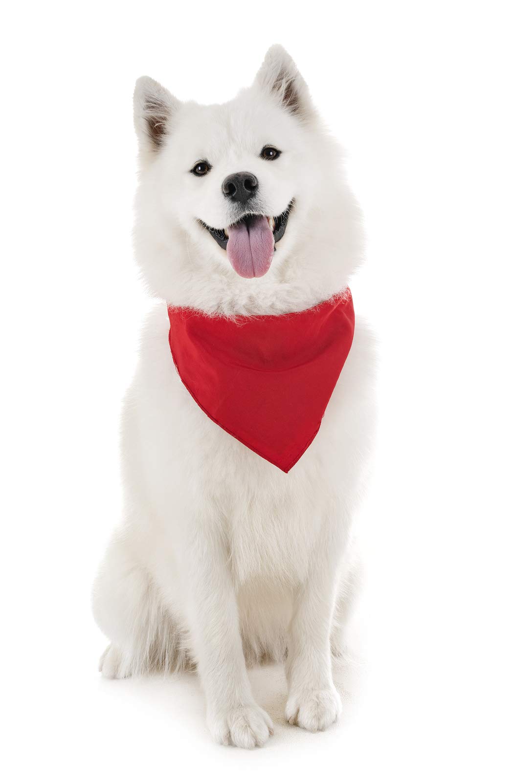 Mechaly Dog Bandanas - 3 Pack Cotton Triangle Scarf Bibs for Small & Large Dogs - Perfect for Pet Grooming, Photo Shoots & Outdoor Adventures