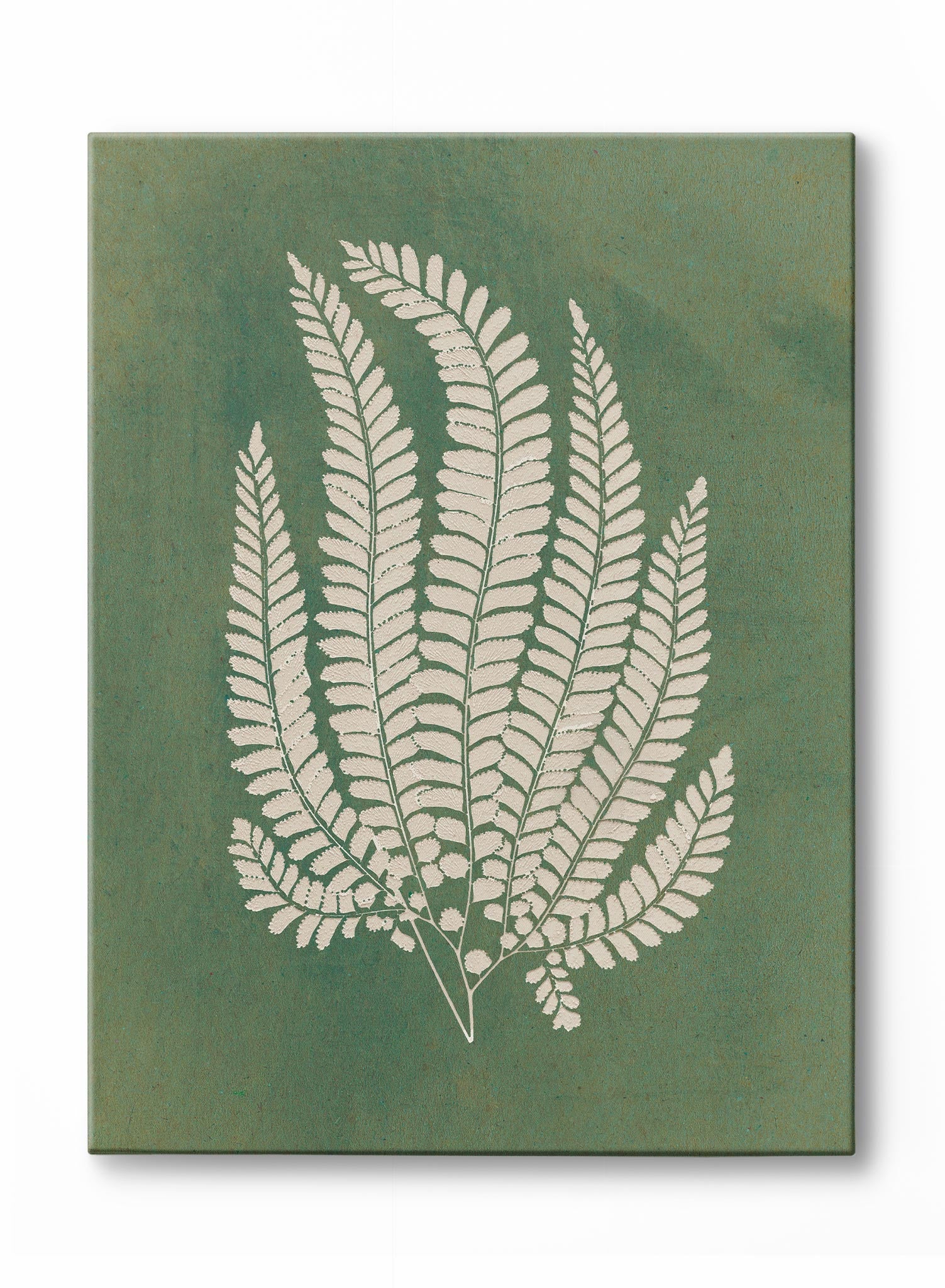 Papercut Lady Fern Art Print - Botanical Wall Decor for Home, Office & Gift Giving - Perfect for Living Room, Bedroom & Workspace Aesthetics