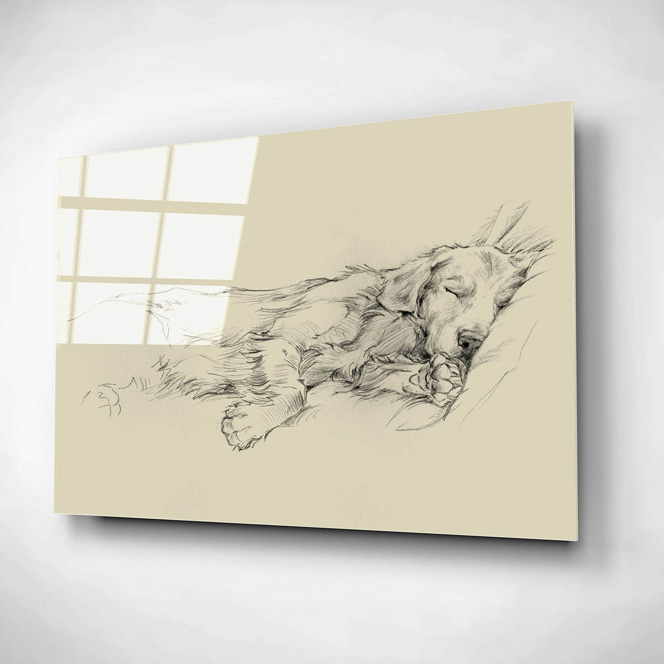 Ethan Harper 'Dog Days III' Acrylic Glass Wall Art - 24x16 Inches Modern Canvas Painting for Living Room, Bedroom & Office Decor | Vibrant Abstract Dog Artwork