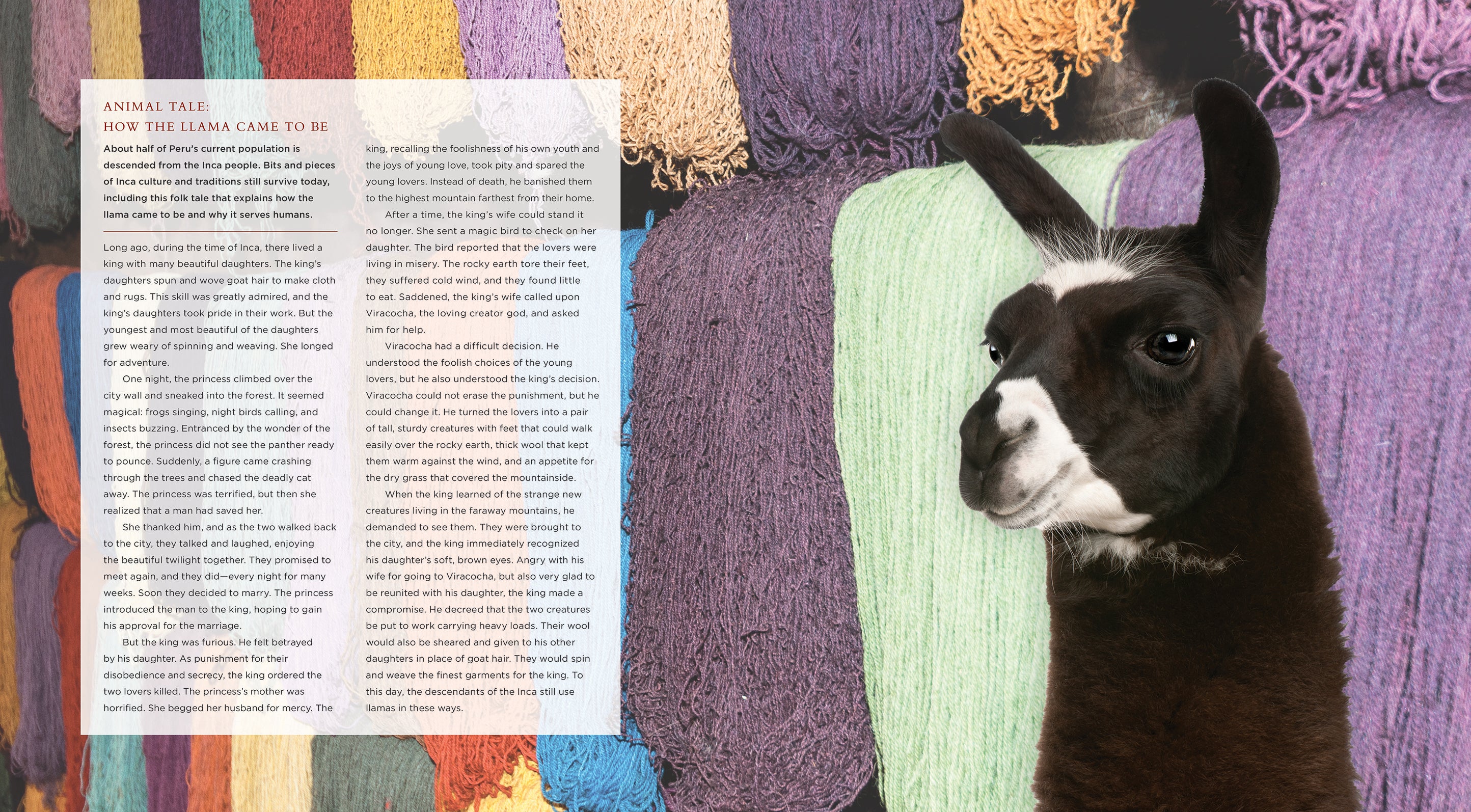 Llamas: A Comprehensive Guide - ISBN 9781608188314 | Perfect for Animal Lovers, Farm Enthusiasts & Educational Use