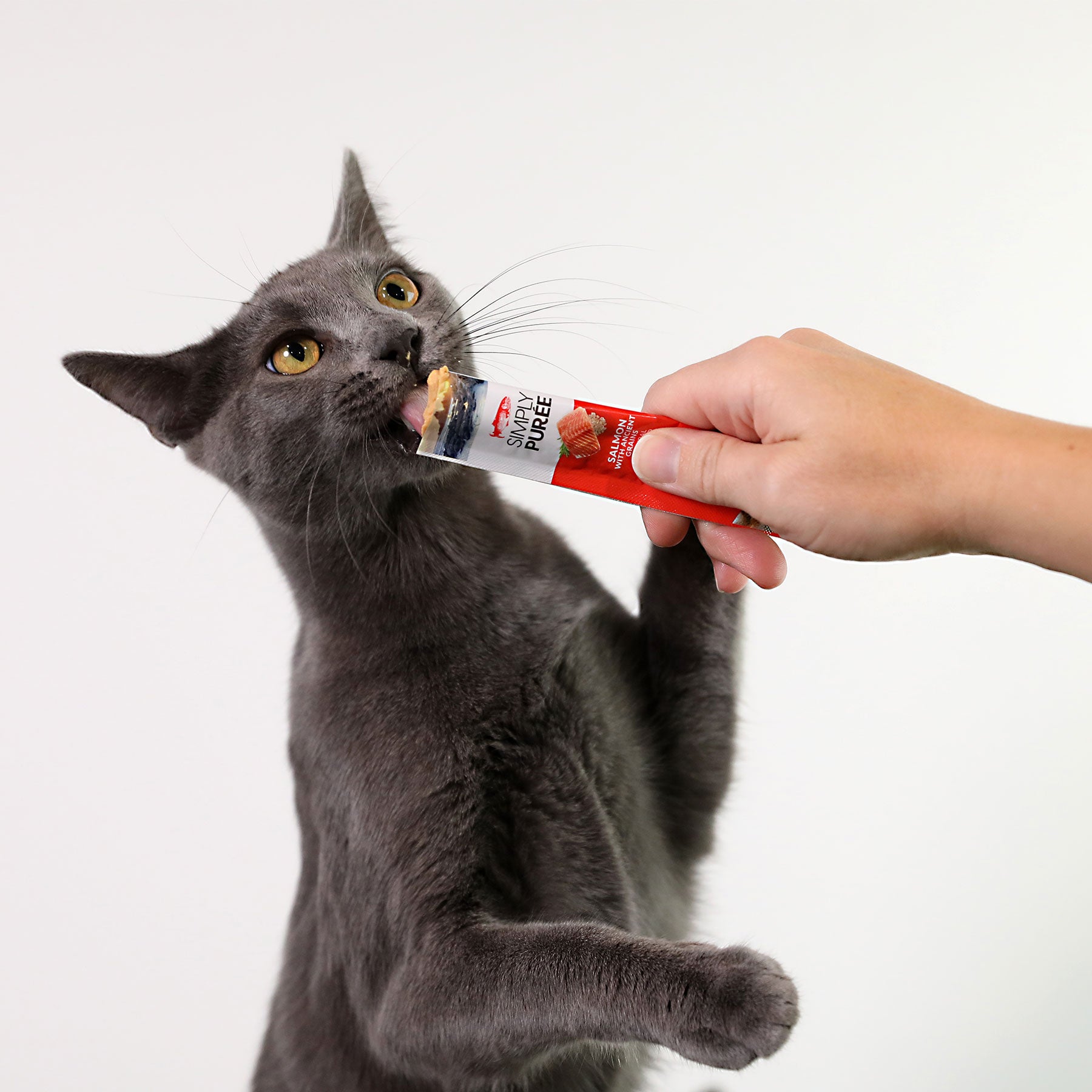 Wild Eats Simply Puree Salmon Cat Treat - Grain-Free, Natural & Delicious Wet Cat Food Topper for Kittens & Adult Cats - Perfect for Picky Eaters & Mealtime Enrichment