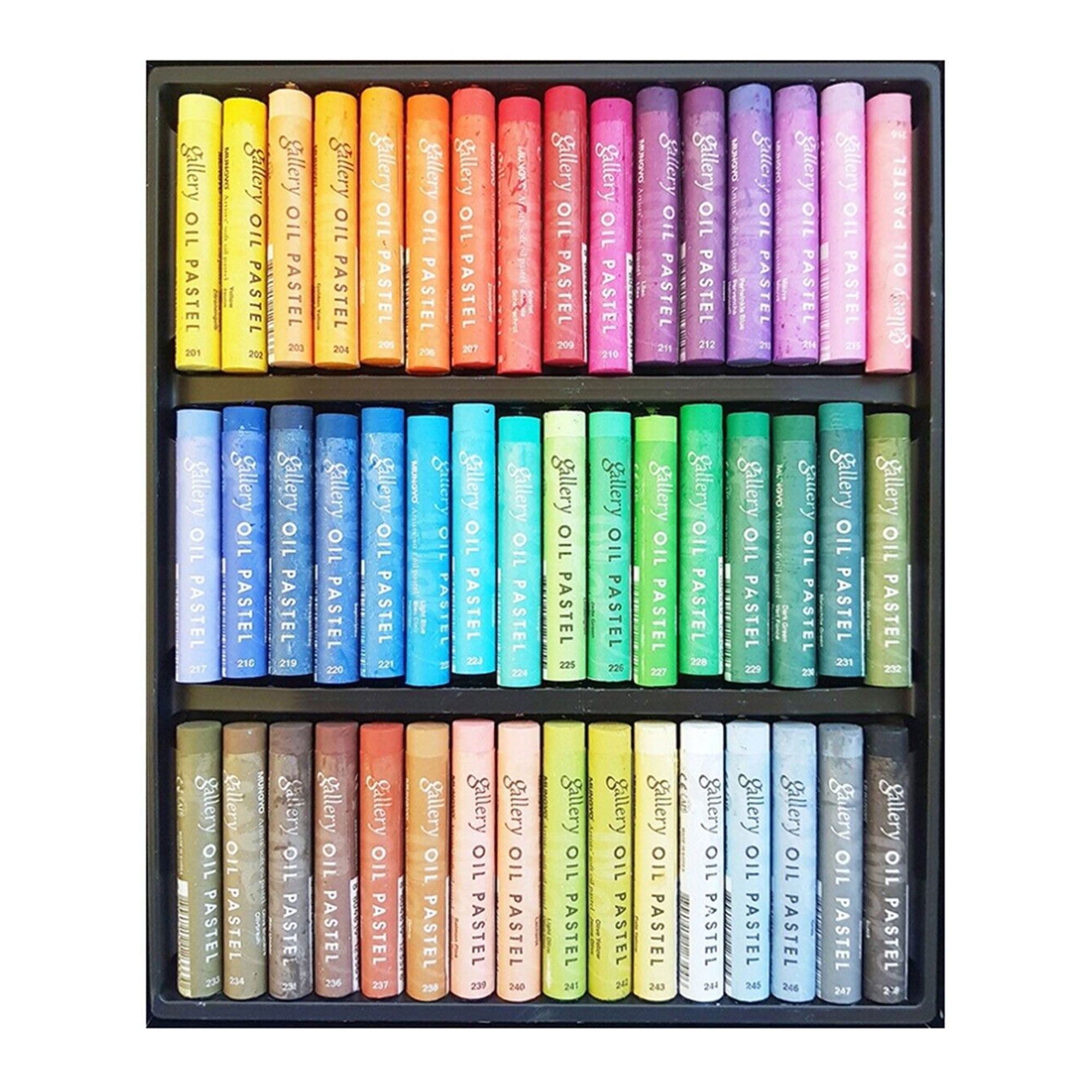 48 Pack Soft Oil Pastels for Artists - Non-Toxic, Vibrant Colors - Perfect for Drawing, Sketching & Painting on Canvas, Paper & More