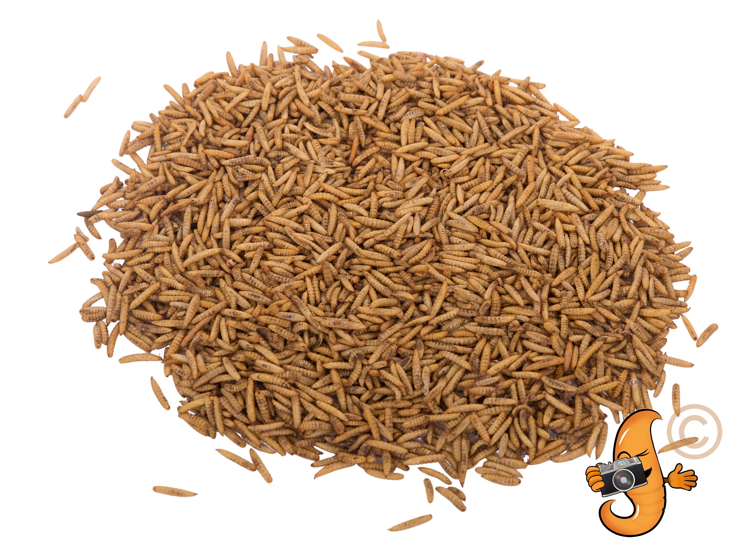 1lb Dried Black Soldier Fly Larvae - Non-GMO High Protein Chicken Feed & Wild Bird Treat - Mealworms for Laying Hens, Chicks & Poultry - Perfect for Backyard Chickens, Bird Feeders & Organic Farming