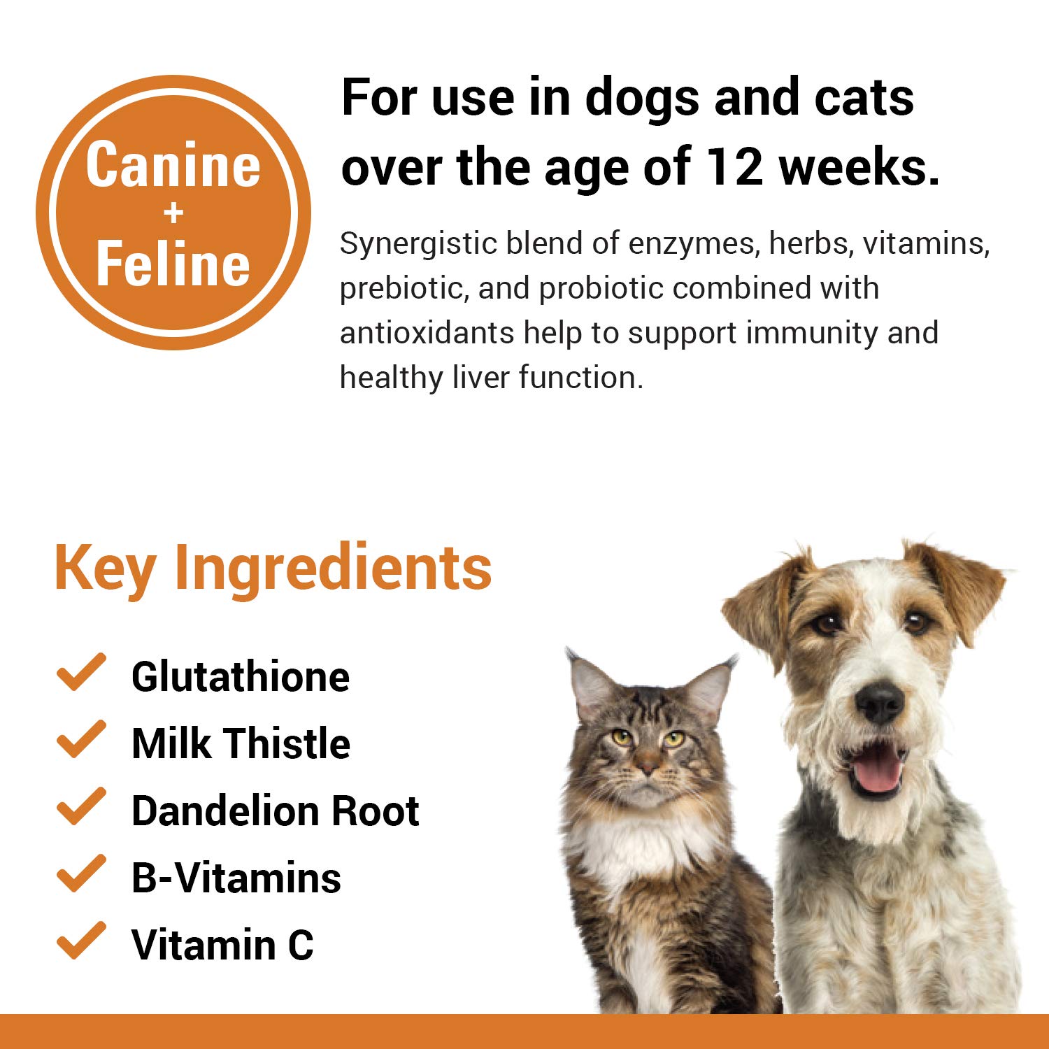 Vet Classics Liver Support Supplement for Dogs & Cats - Liver Function Aid with B-Vitamins, Glutathione & Milk Thistle - 60 Soft Chewable Tablets - Supports Detox & Digestive Health - Perfect for Senior Pets & Daily Wellness Routine