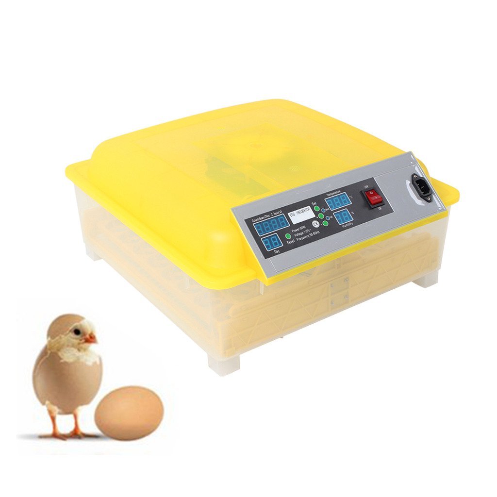 Rhegeneshop 48 Egg Clear Bottom Digital Automatic Incubator for Chicken Duck Bird Eggs - Perfect for Poultry Farming, Hatching Projects & Backyard Chicken Coops