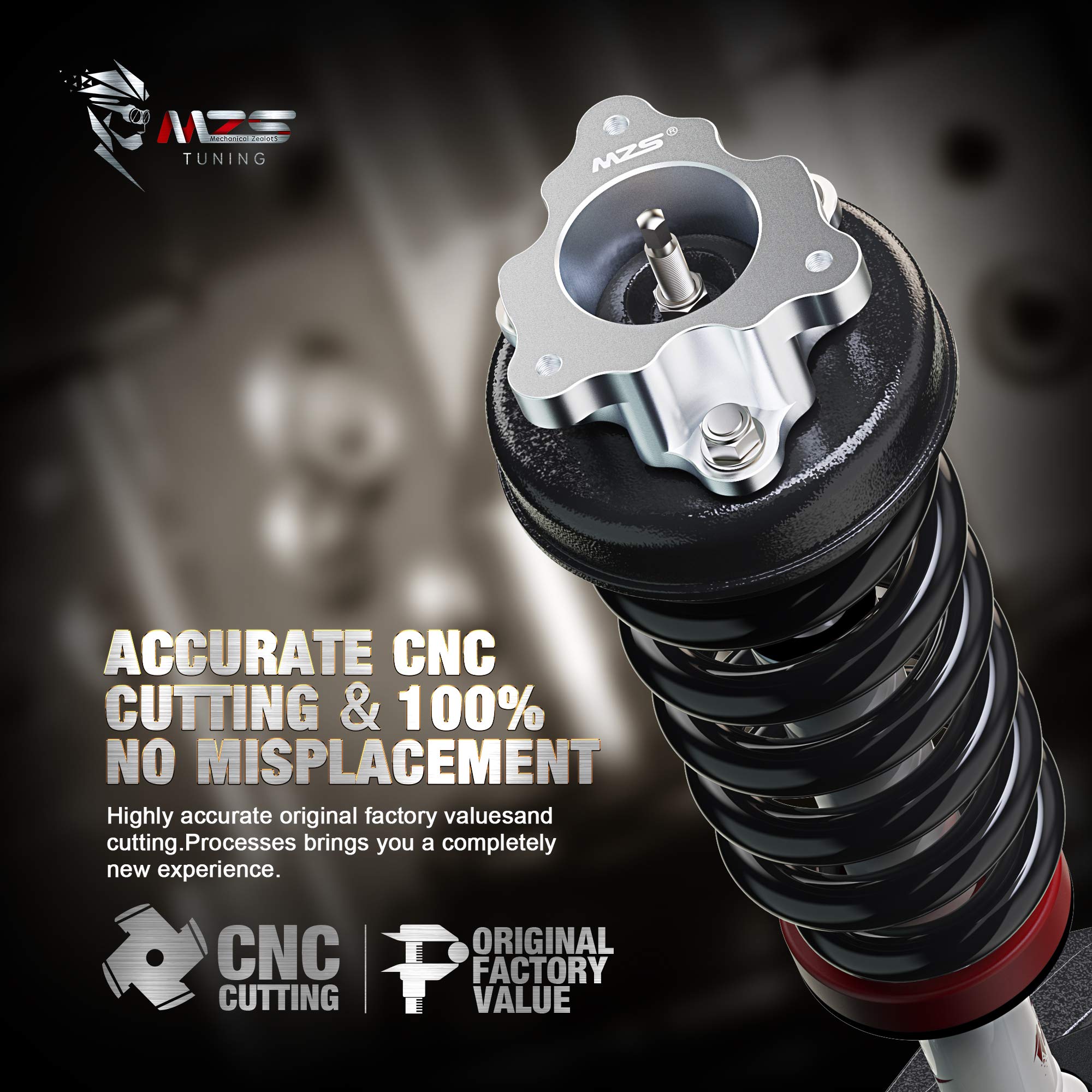 MZS 2.5