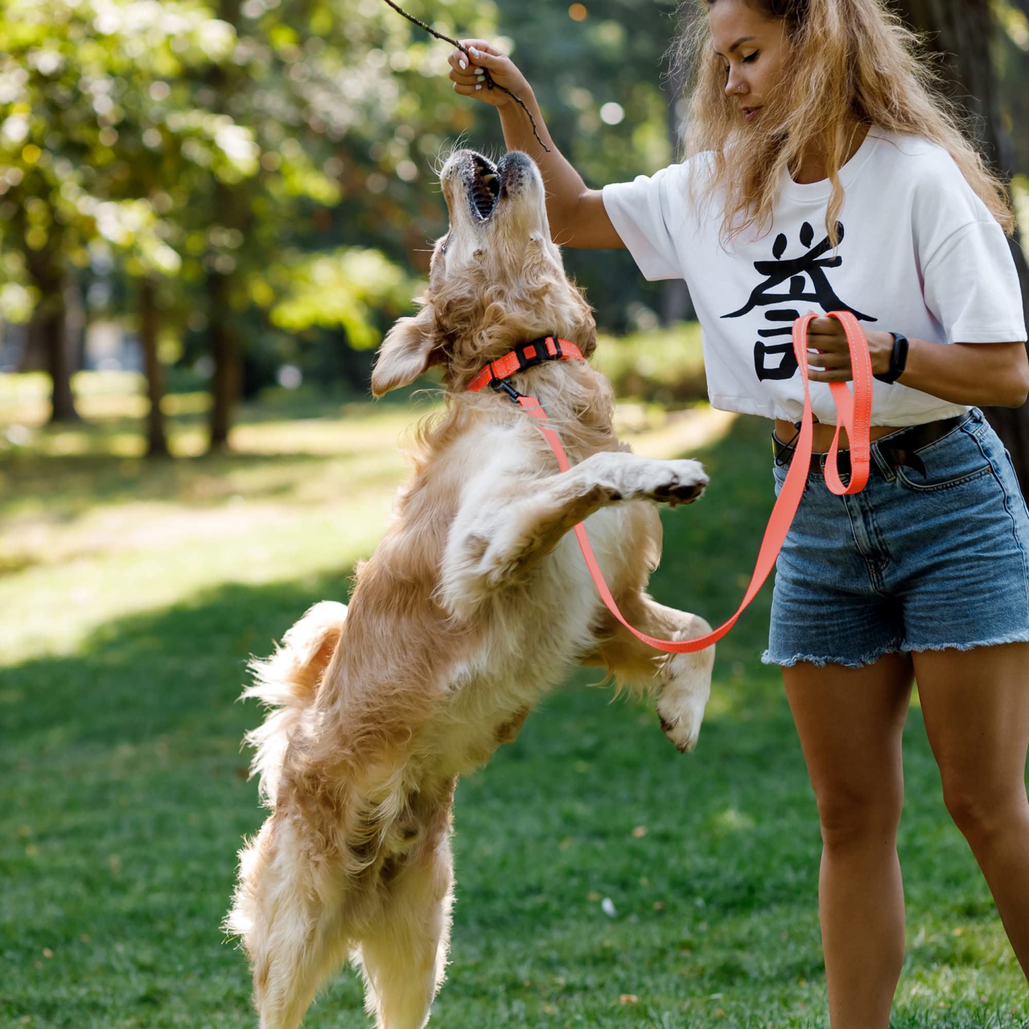 **CollarDirect Heavy Duty Reflective Nylon Dog Leash 5ft - Durable Pet Leash for Small, Medium & Large Dogs - Perfect for Outdoor Walking, Running & Training (Coral, Small)**