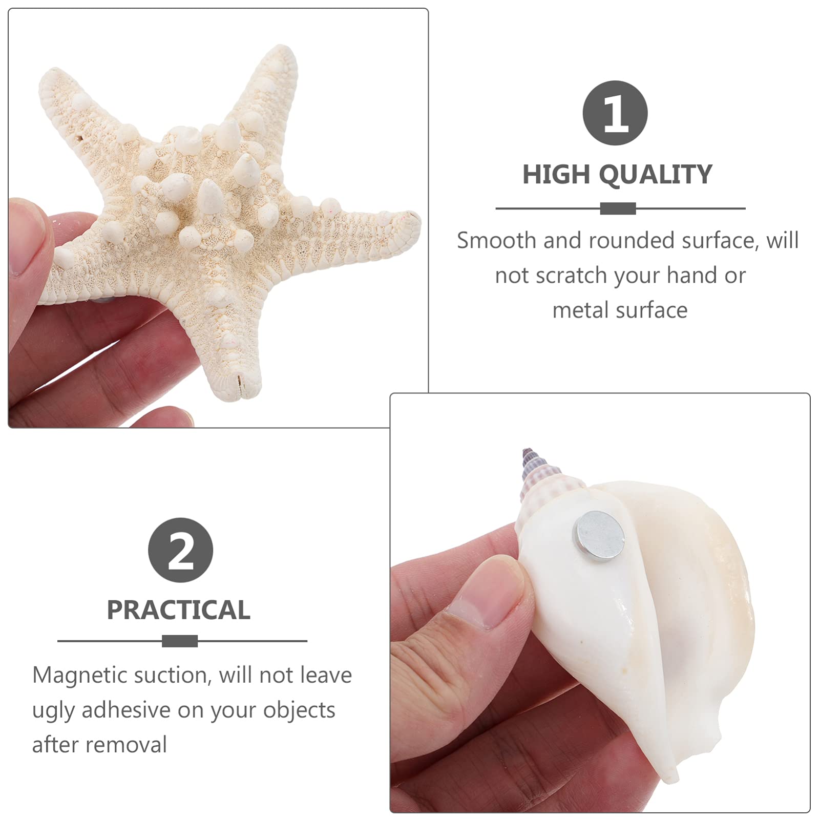 NUOBESTY 7PCS 3D Seashell Conch Shape Fridge Magnets - Strong Magnetic Refrigerator Stickers for Kitchen, Whiteboard, Locker - Nautical Beach Themed Home Decor (Random Style) | Perfect for Beach House, Coastal Kitchen & Office Organization