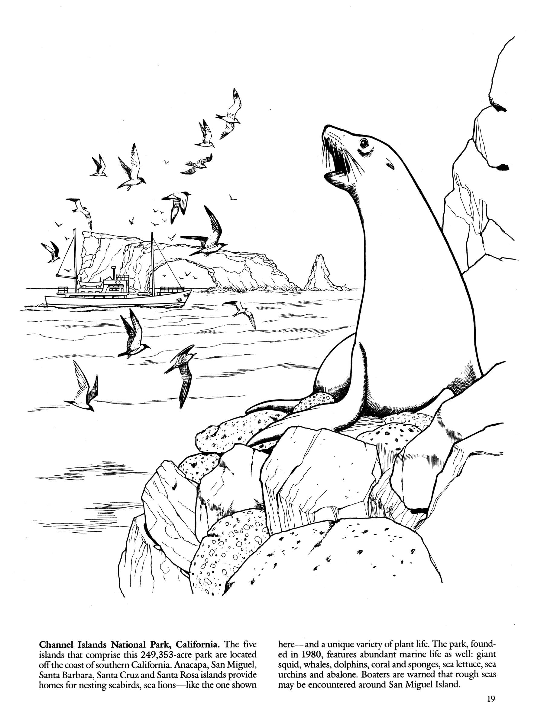 **National Parks Coloring Book for Adults & Kids - Dover Nature Coloring Book with Scenic Landscapes, Wildlife & Plants - Perfect for Relaxation, Travel & Education**