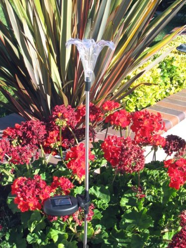 Solar Powered Garden Stake Lights - Color Changing & White LED Outdoor Landscape Path Lights (Set of 2, Lily Flower Design) for Patio, Yard, Walkway & Garden Decor