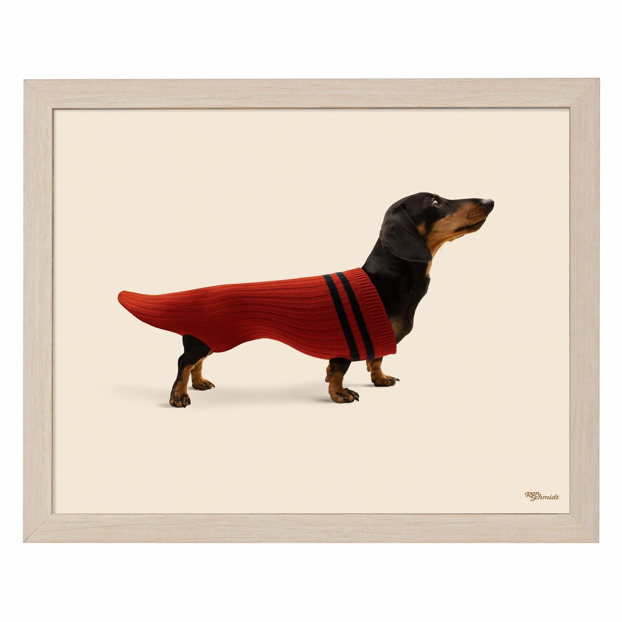 Dox in Sox Art Prints - Whimsical Dog Socks Wall Decor for Living Room, Nursery & Office | Unique Animal Illustration Artwork