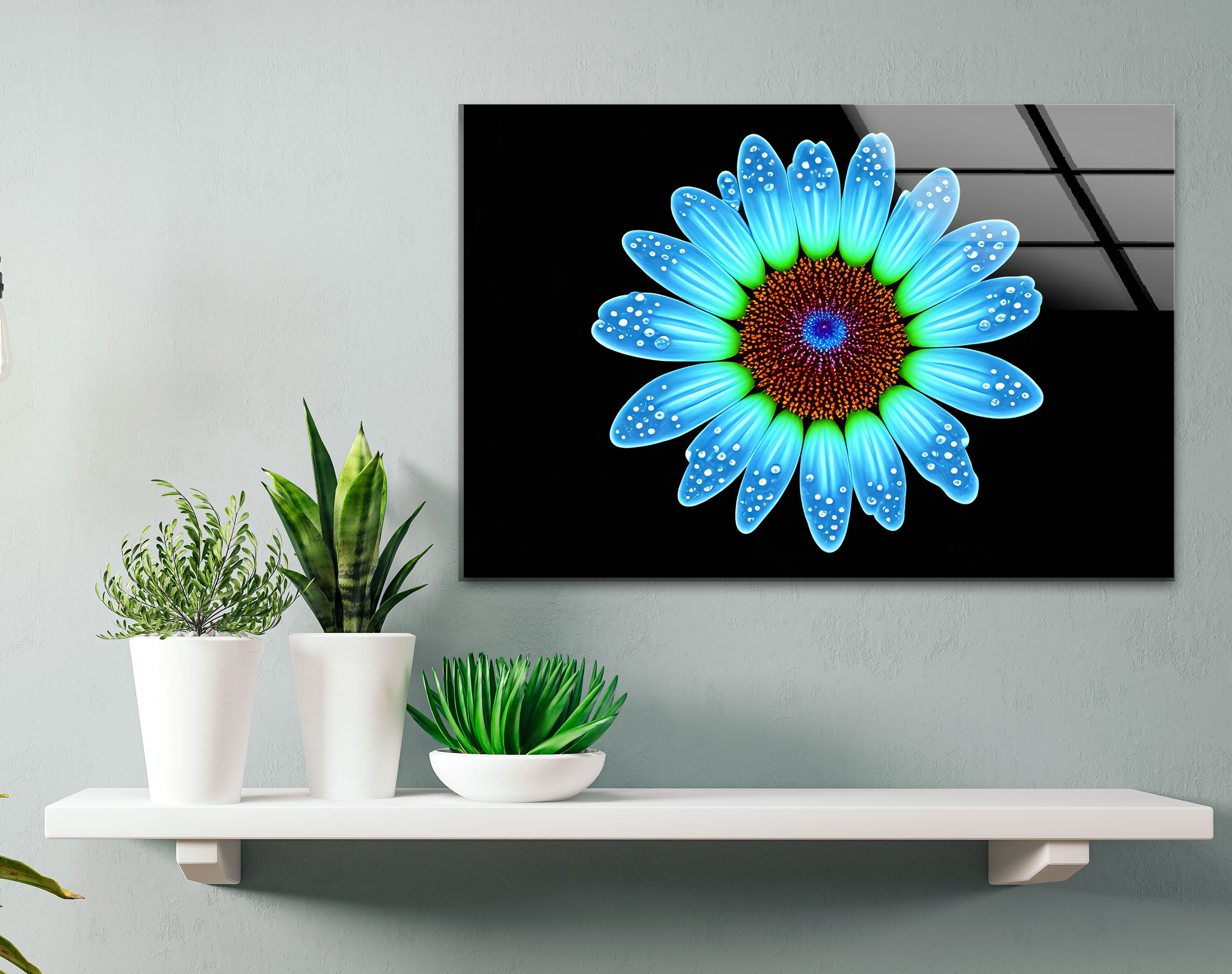 Blue Daisy Flower Wall Art - Luminous Glass Print on Black Background with Water Droplet Detail | Modern Home Decor for Living Room, Bedroom & Office | Elegant Botanical Wall Decor for Contemporary Interiors
