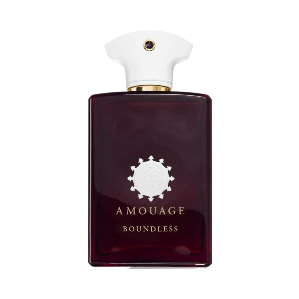 Boundless Eau de Parfum for Women & Men - 3.4oz/100ml Luxury Long-Lasting Fragrance - Perfect for Date Night, Office & Special Occasions