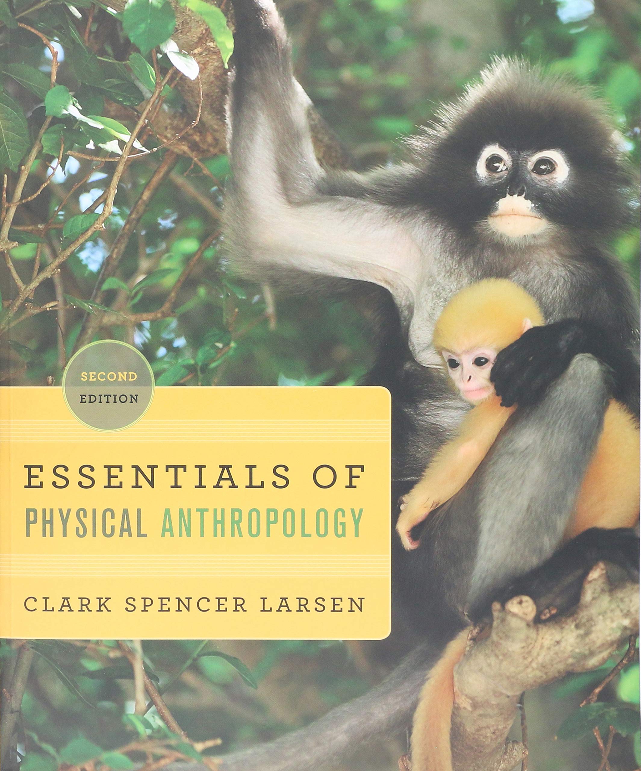 Essentials of Physical Anthropology Textbook - Exploring Human Origins & Evolution | Perfect for College Students, Anthropology Courses & Evolutionary Science Research