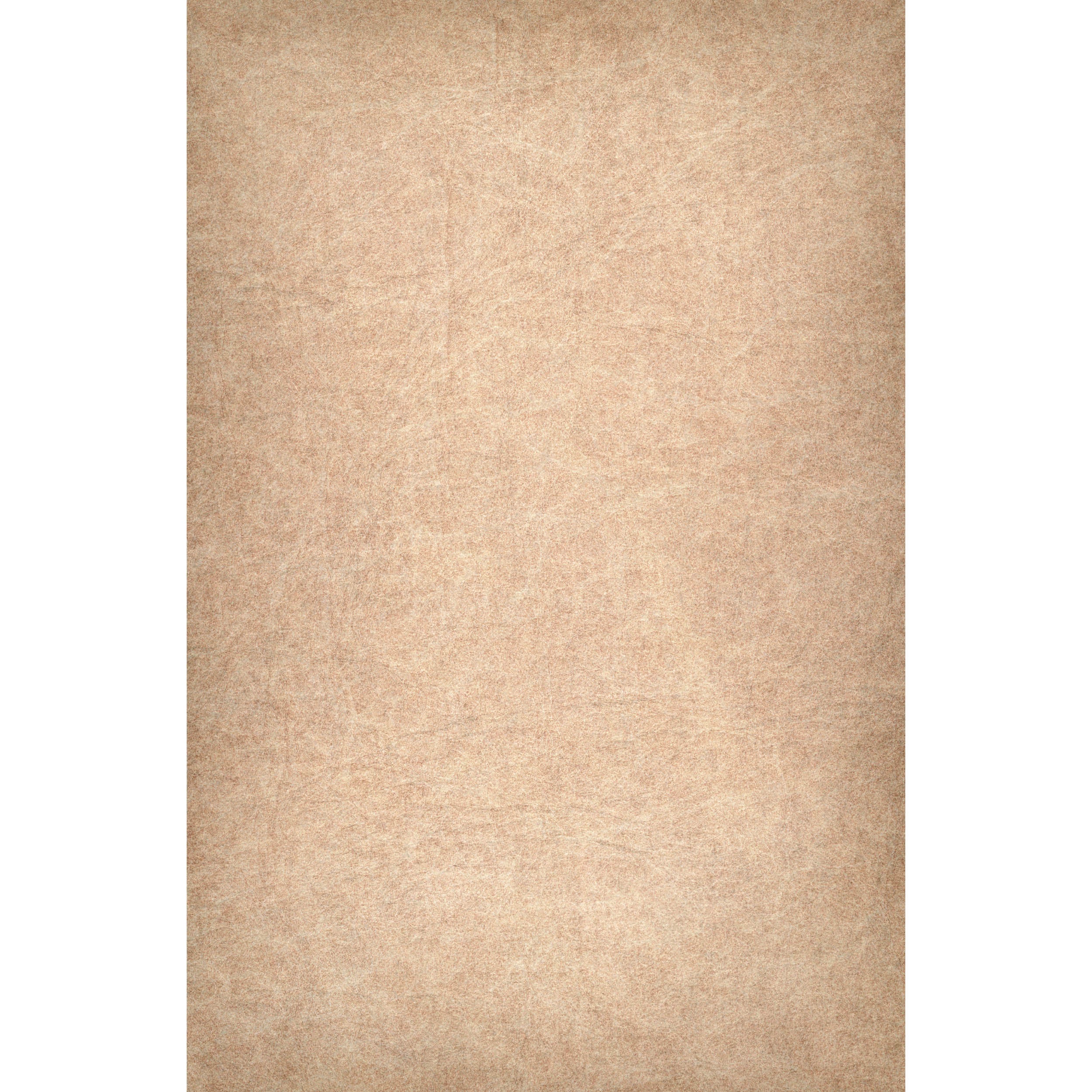 Premium C16 Hazelnut Fabric Skin for EasiFrame Curved Cyclorama System - Standard Frame | Professional Photography Backdrop | Studio & Video Shoot Background (Special Order)