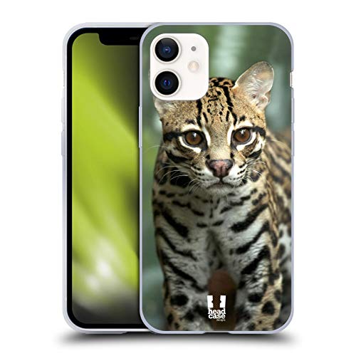 Closeup Of An Ocelot