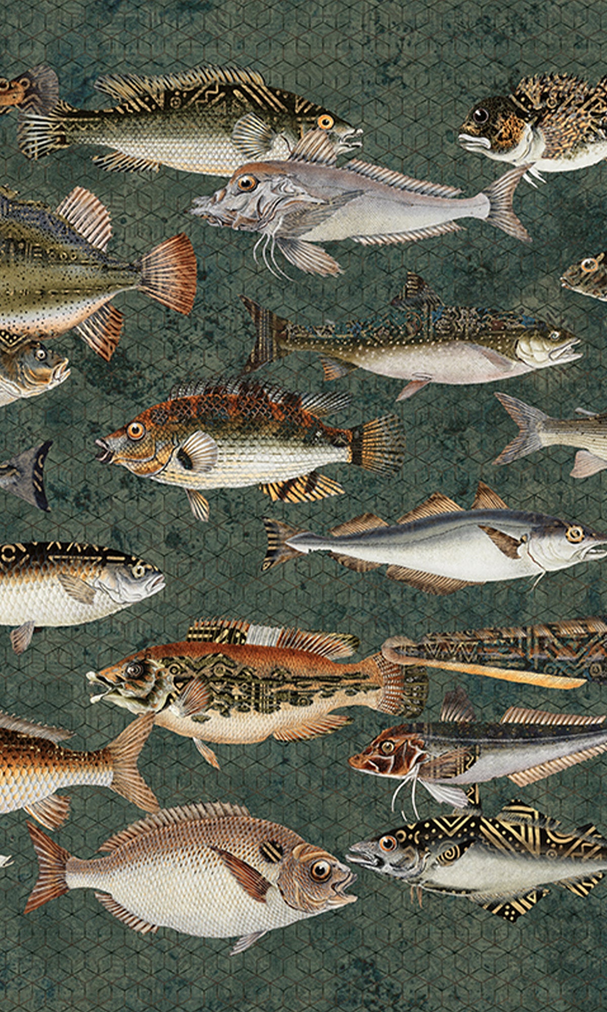 Dark Green Underwater Bounty Mural Wallpaper M2598 - Ocean Theme Peel and Stick Wallpaper for Bedroom, Living Room, Kids Room Decor - Perfect for Home, Office & Nursery Wall Covering