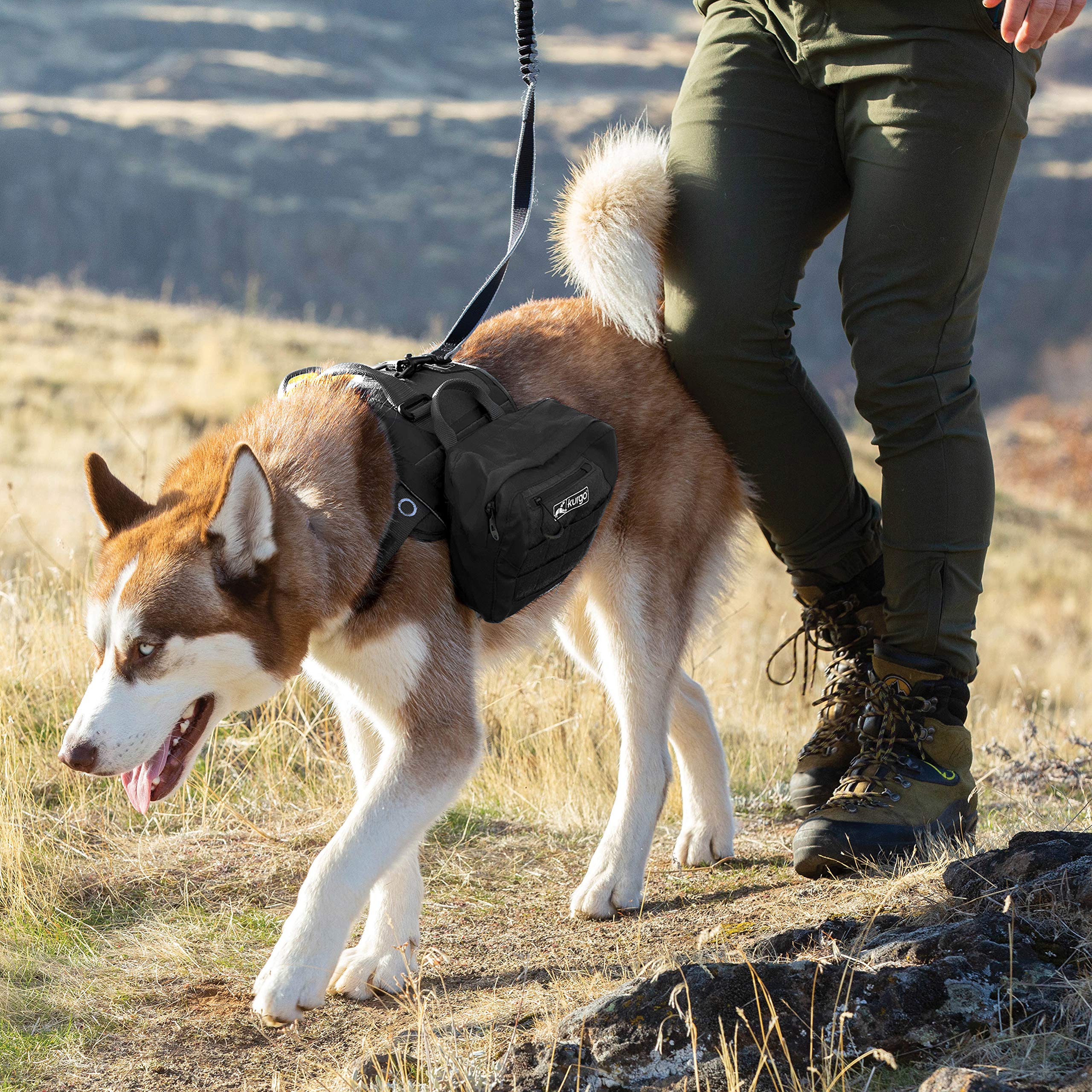 Kurgo MOLLE Clip Compatible Dog Harness - Adjustable Service Dog Training Vest for Small Medium Large & X-Large Dogs - Tactical MOLLE Vest with Padded Straps (Black) - Perfect for Outdoor Adventures, Hiking & Service Dog Training