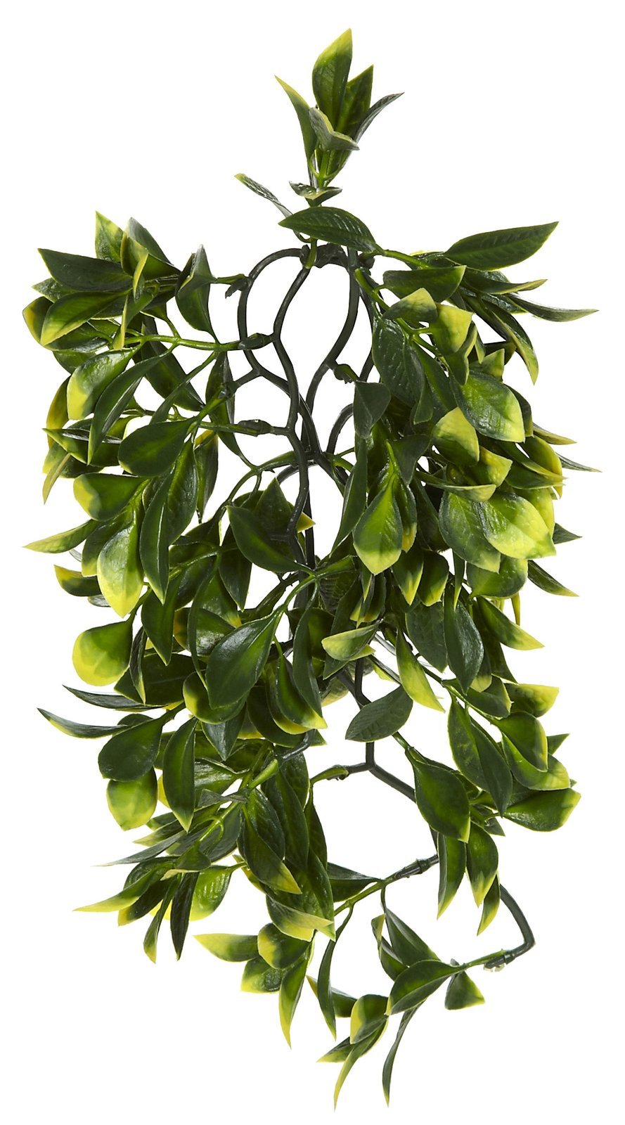 Exo Terra Plastic Terrarium Plant - Medium Size Artificial Mandarin Plant for Reptile Habitat & Vivarium Decoration - Perfect for Bearded Dragon, Gecko & Snake Tanks