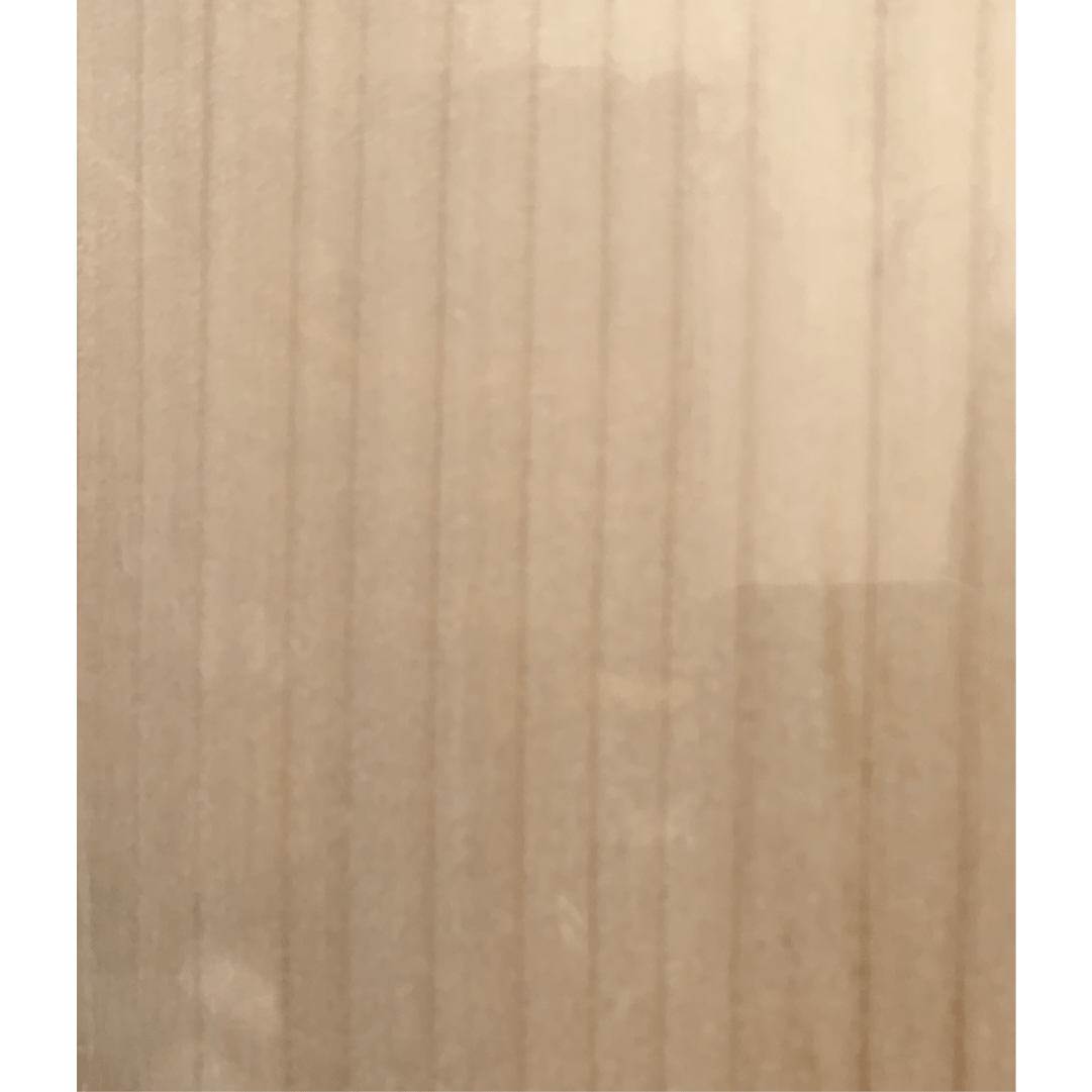 SS Ton Players Edition Cricket Bat - Senior Size for Professional & Amateur Players - Perfect for Matches, Practice & Training Sessions