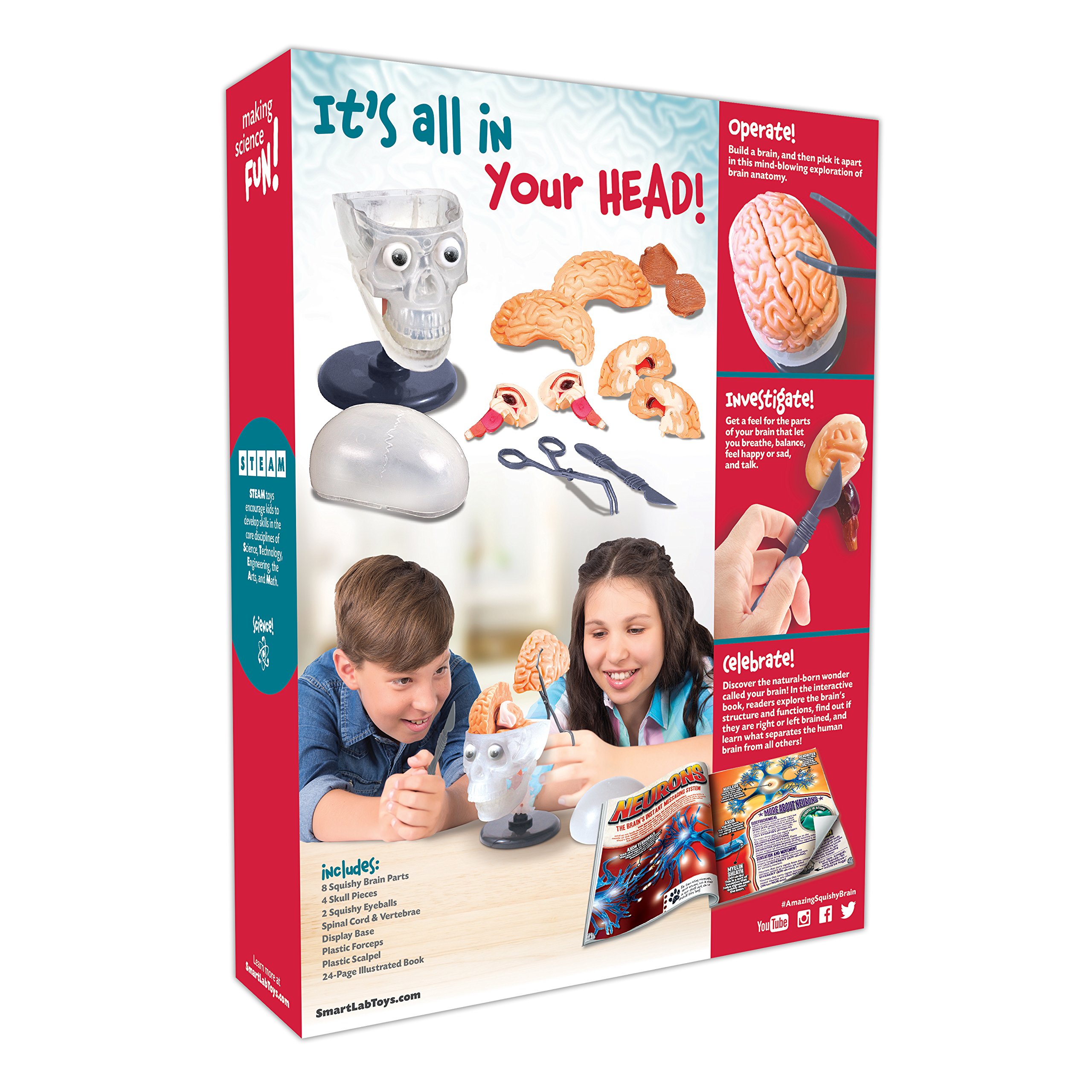 SmartLab Toys The Amazing Squishy Brain - Educational STEM Toy for Kids, Realistic Human Brain Model for Science Learning - Perfect for Classroom, Homeschool & Science Experiments