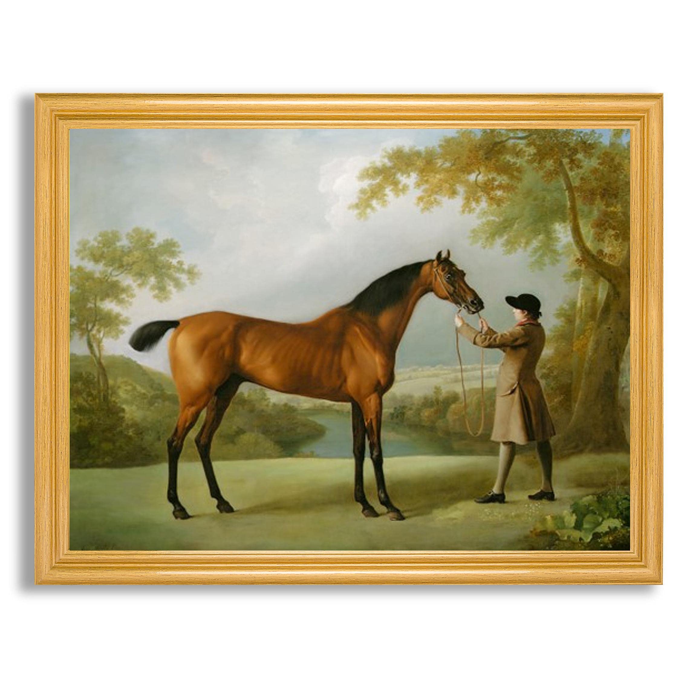 George Stubbs Tristram Shandy Bay Racehorse Framed Canvas Wall Art - Fine Art Reproduction Painting in Wood Frame - Home Decor for Living Room, Bedroom & Office - Perfect Gift for Horse Lovers & Equestrian Enthusiasts