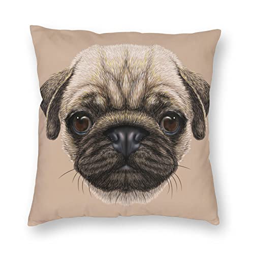 Pug Dog