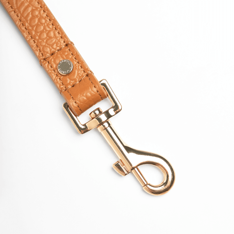 Premium Genuine Amber Leather Dog Leash - Durable & Stylish for Small Medium Large Dogs - Perfect for Daily Walks, Training & Outdoor Adventures
