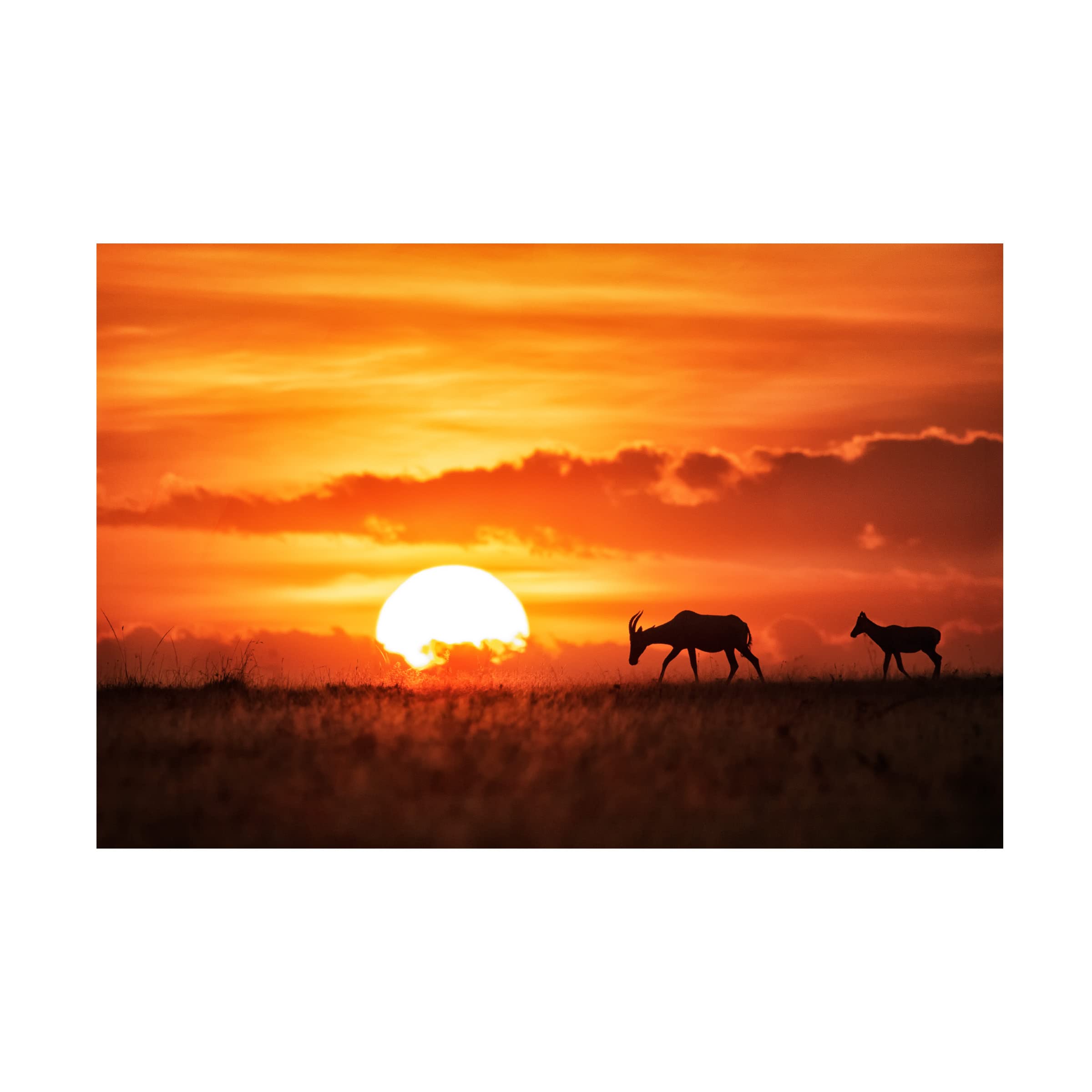 Trademark Fine Art 'Sun Rise' Canvas Art Print by Siyu and Wei - Stunning Sunrise Landscape Wall Decor for Living Room, Bedroom & Office