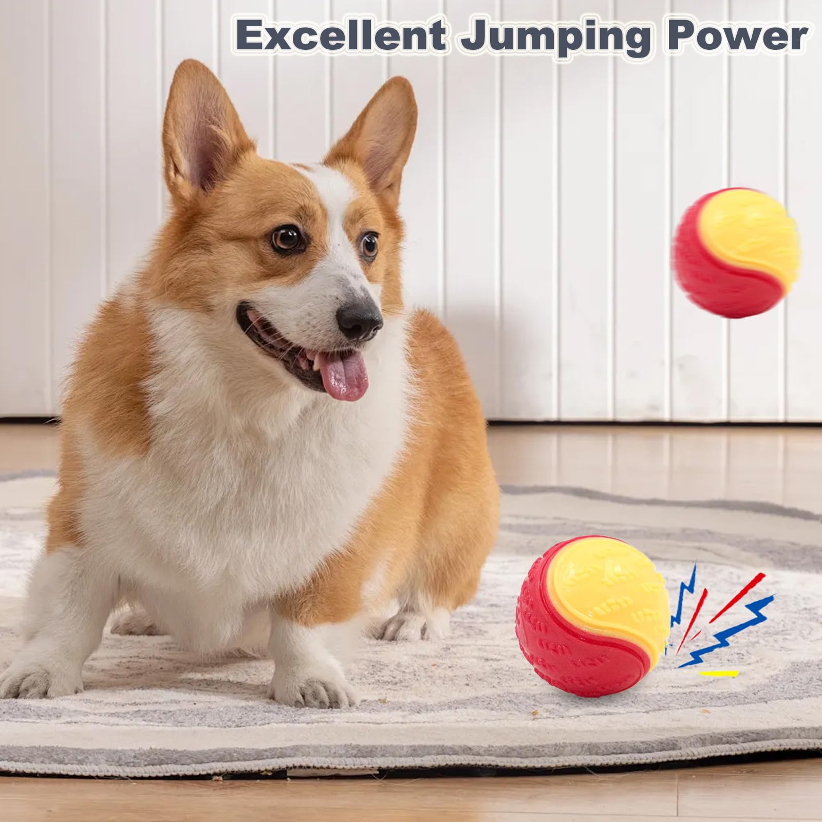 10Pcs Squeaky Dog Balls - 2.5 Inch Durable Chew Toys for Puppies & Dogs - Interactive Play, Teeth Cleaning & Training - Perfect for Fetch, Tug of War & Outdoor Activities