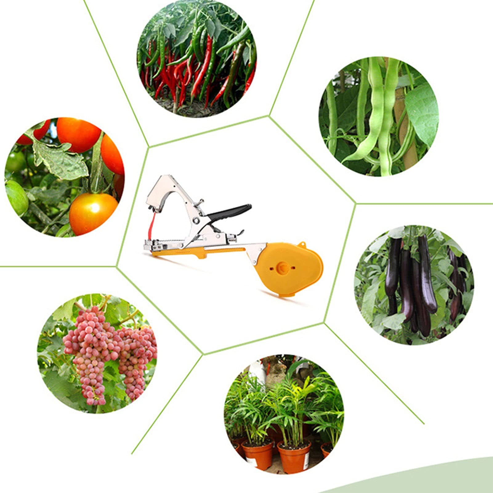 Green Garden Vine Tying Tape & Plant Tying Machine Kit with Tapes & Staples - Support for Grapes, Tomatoes, Vegetables, Fruits & Flowers - Perfect for Home Gardening, Vineyard Support & Plant Training