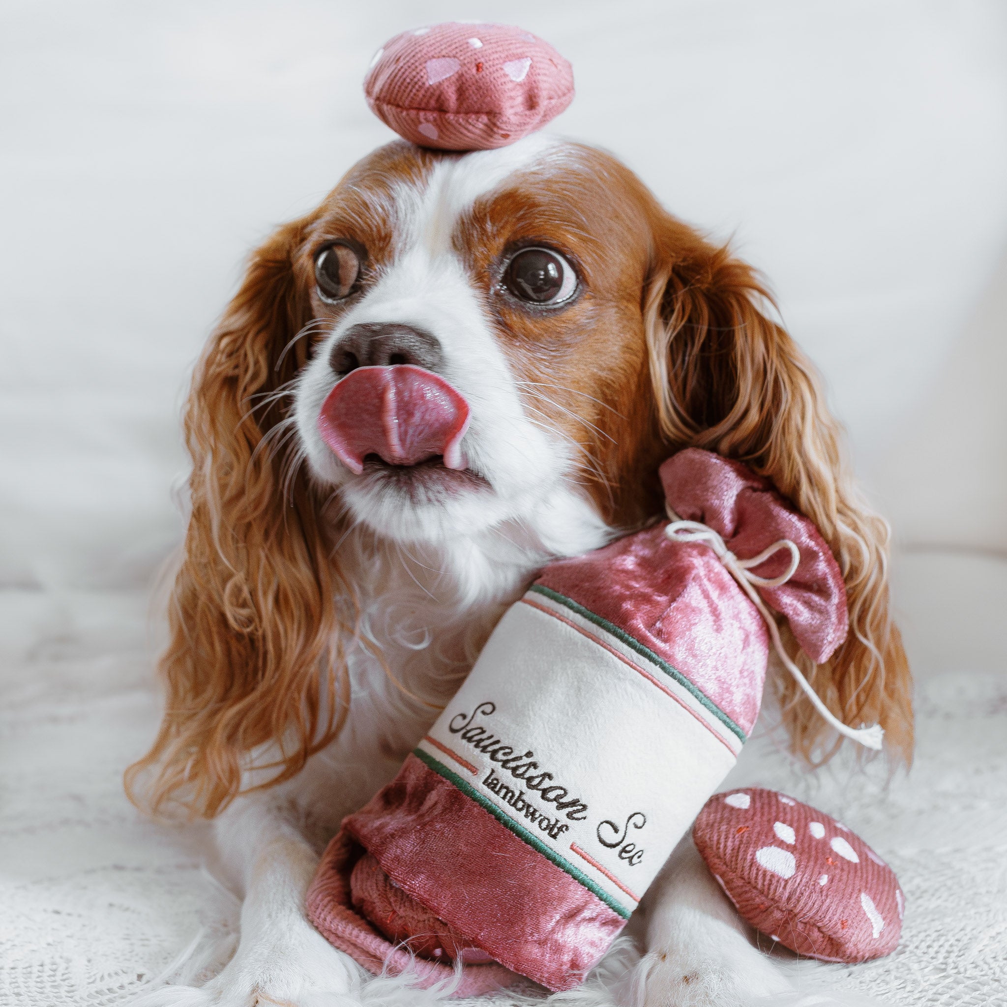 Premium French Saucisson Sec Dry Cured Sausage - Authentic Artisanal Charcuterie for Charcuterie Boards, Picnics & Gourmet Gifts