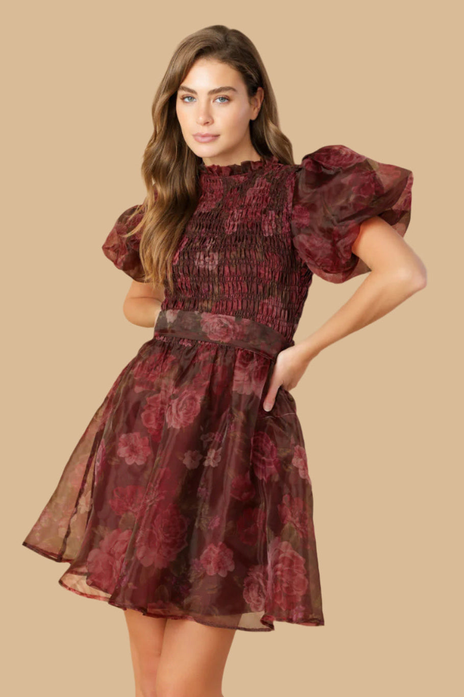 Elegant Flittering Dreams Woven Organza Mini Dress for Women - Perfect for Weddings, Parties & Special Occasions