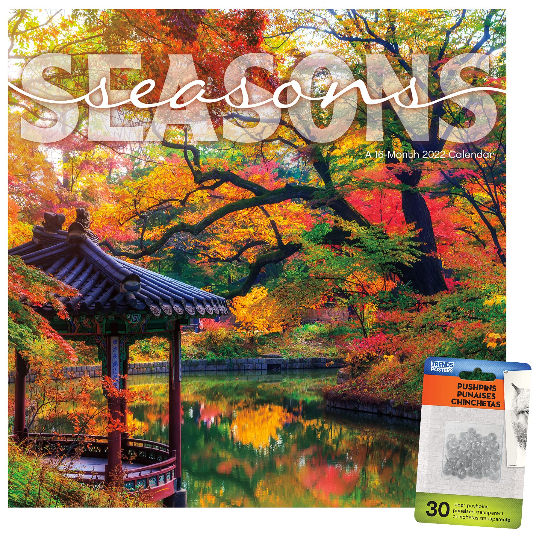 Trends International 2022 Seasons Wall Pushpins Set - 12