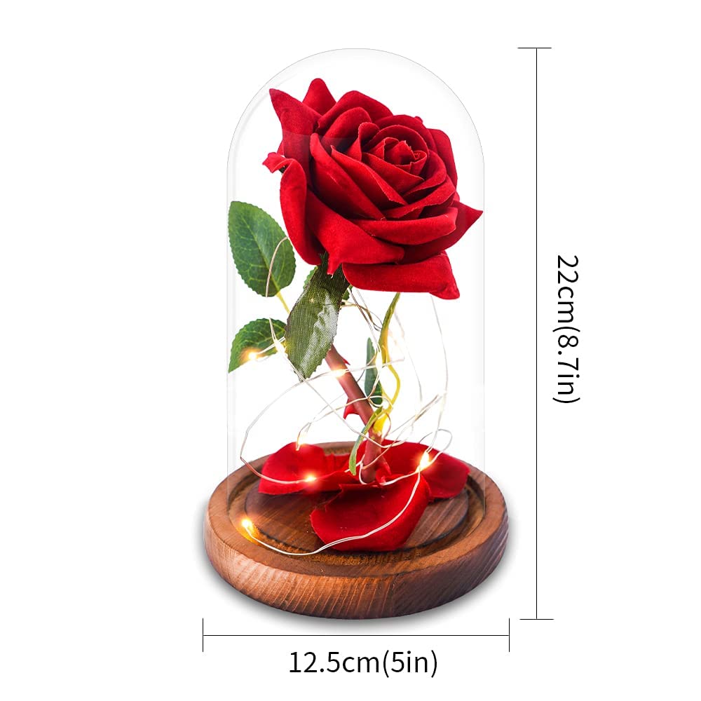 Romantic Valentine's Day Gifts for Women - Elegant Glass Rose in Dome for Wife, Girlfriend, Mom - Perfect for Anniversary, Birthday & Special Occasions - Home Decor & Keepsake Present