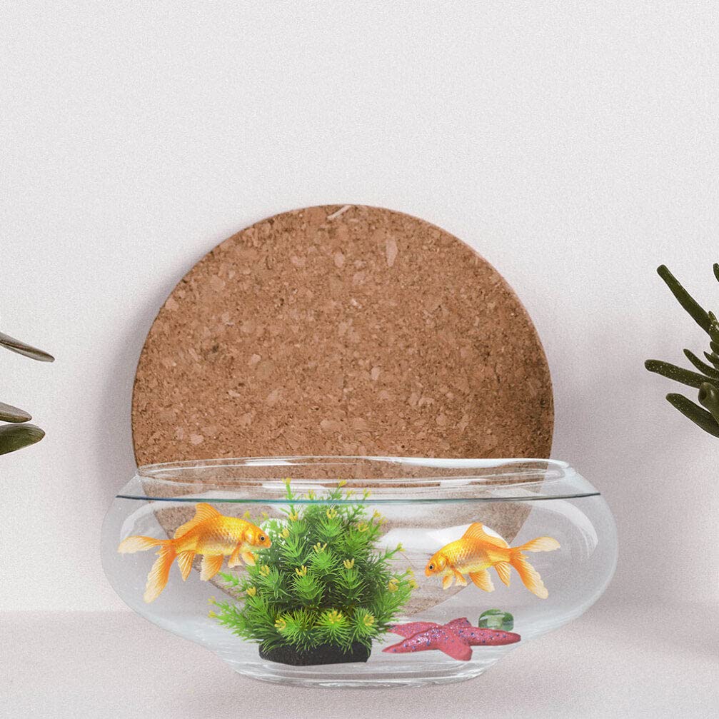 Zerodeko Clear Glass Fish Bowl - Hydroponic Plant Pot, Lotus Hydroponic Container, Small Round Aquarium for Goldfish & Betta Fish | Perfect for Home Decor, Office Desk, and Indoor Gardening