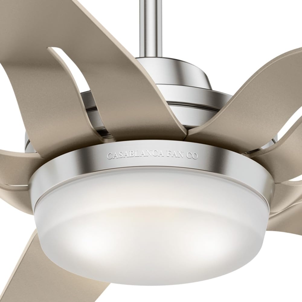 Hunter Fan Company Casablanca 56
