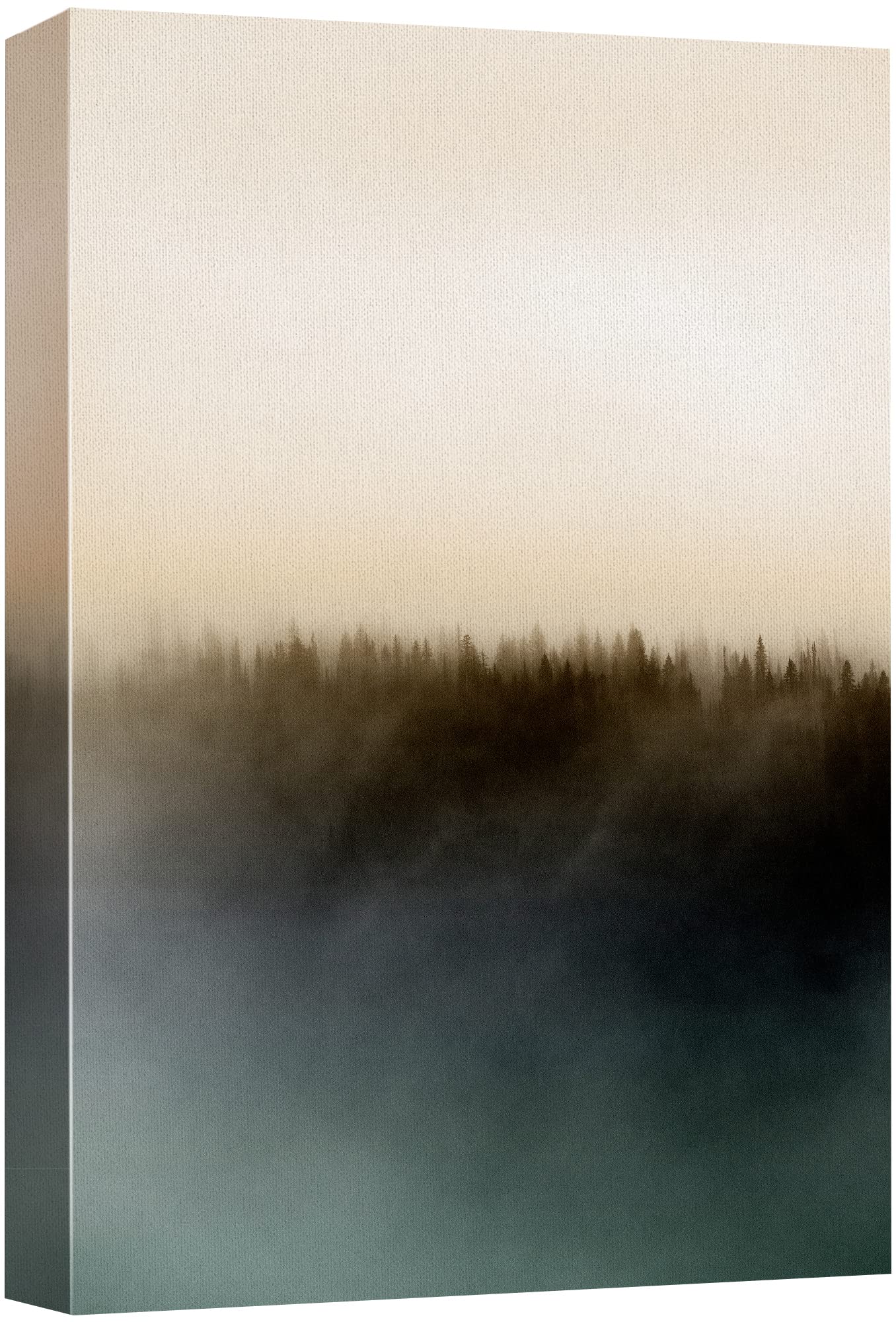 Pastel Clouds Over Dark Forest Canvas Print - 32